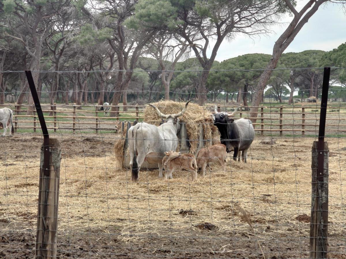 Agriturismo Poderedodici Orbetello Eksteriør bilde