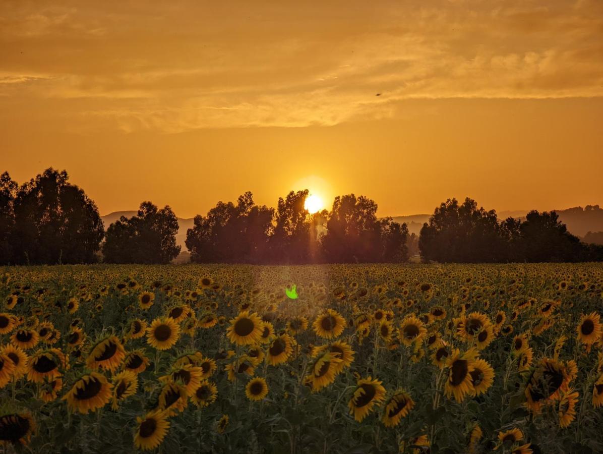 Agriturismo Poderedodici Orbetello Eksteriør bilde