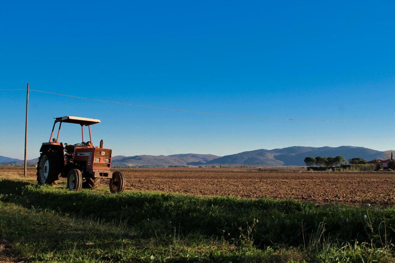 Agriturismo Poderedodici Orbetello Eksteriør bilde