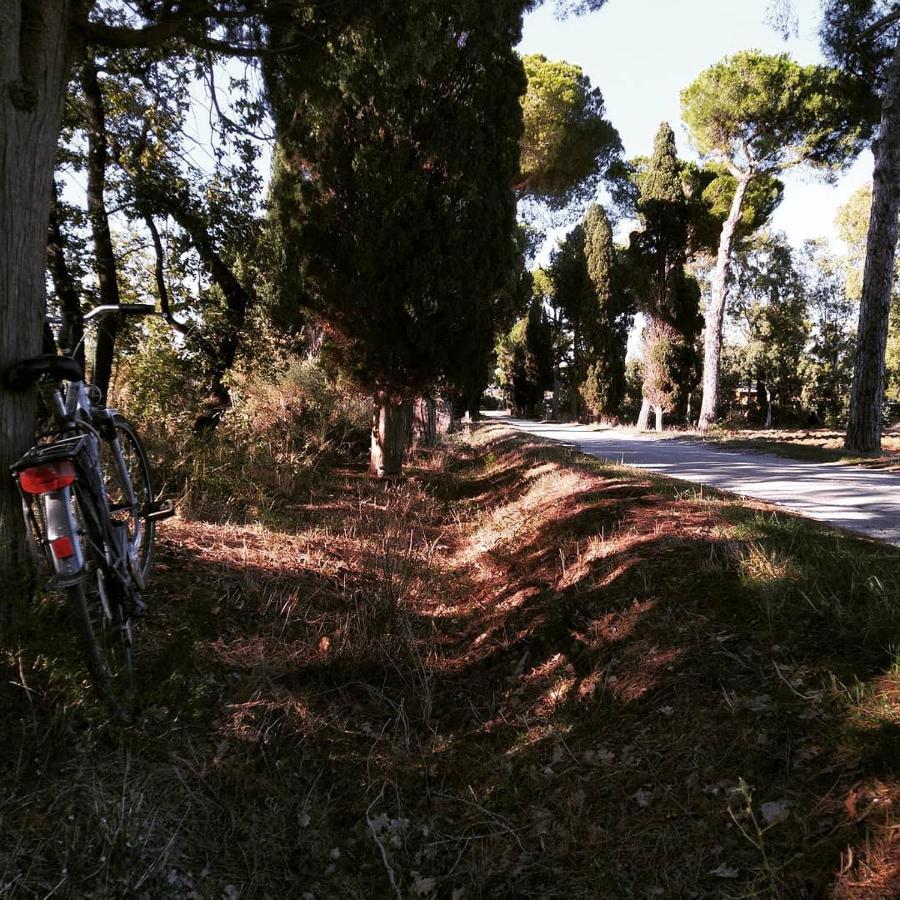Agriturismo Poderedodici Orbetello Eksteriør bilde